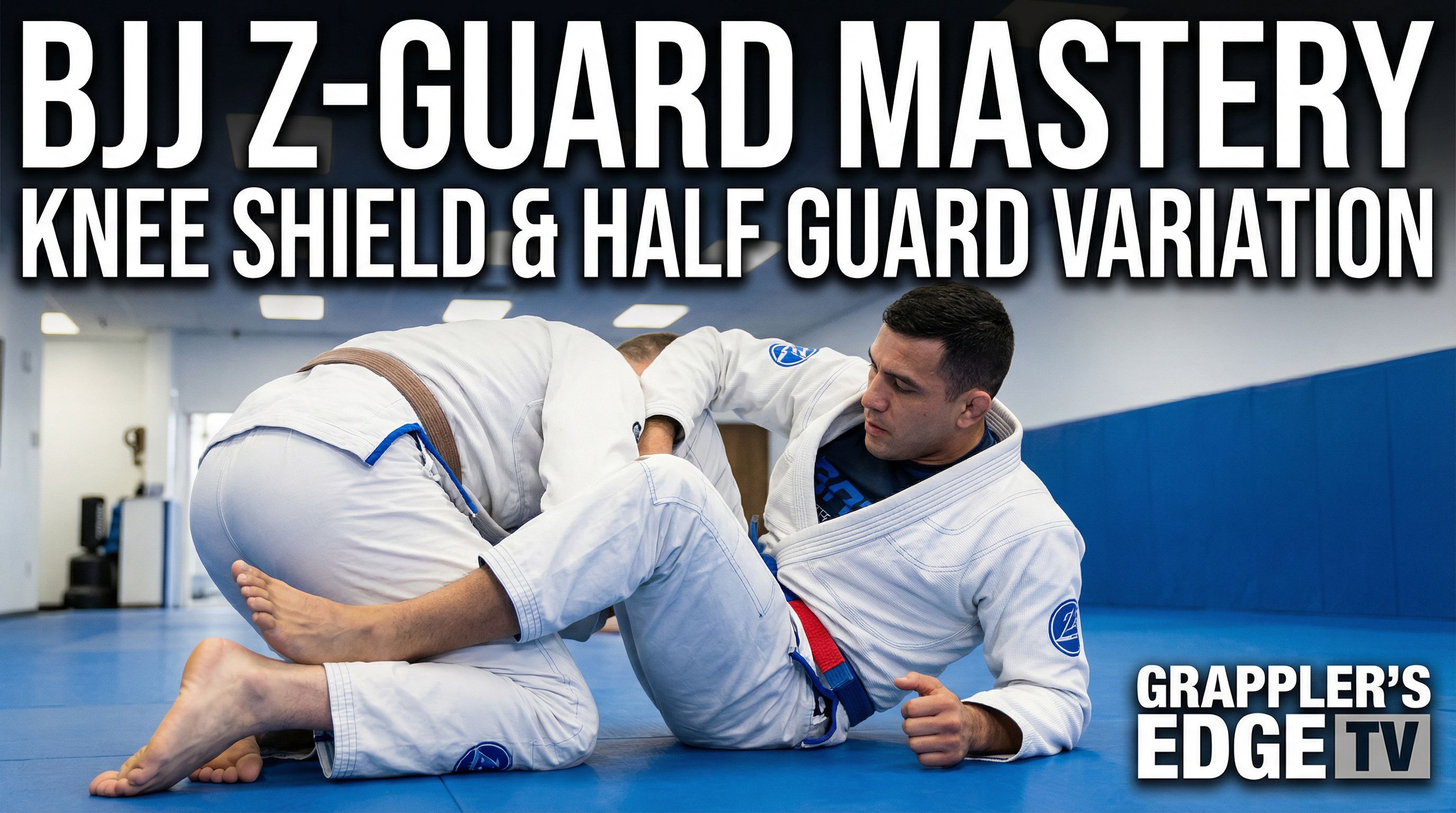 Z-Guard (Knee Shield)