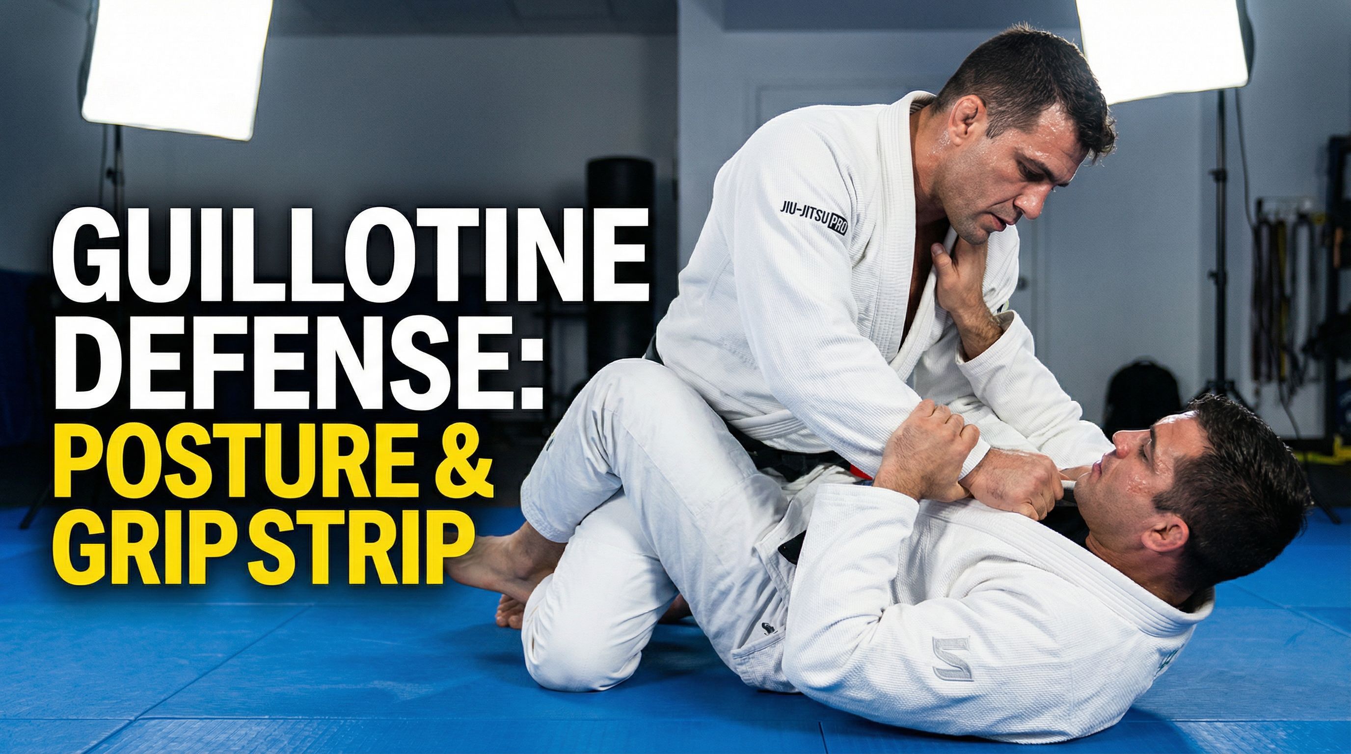 Defesa da Guilhotina