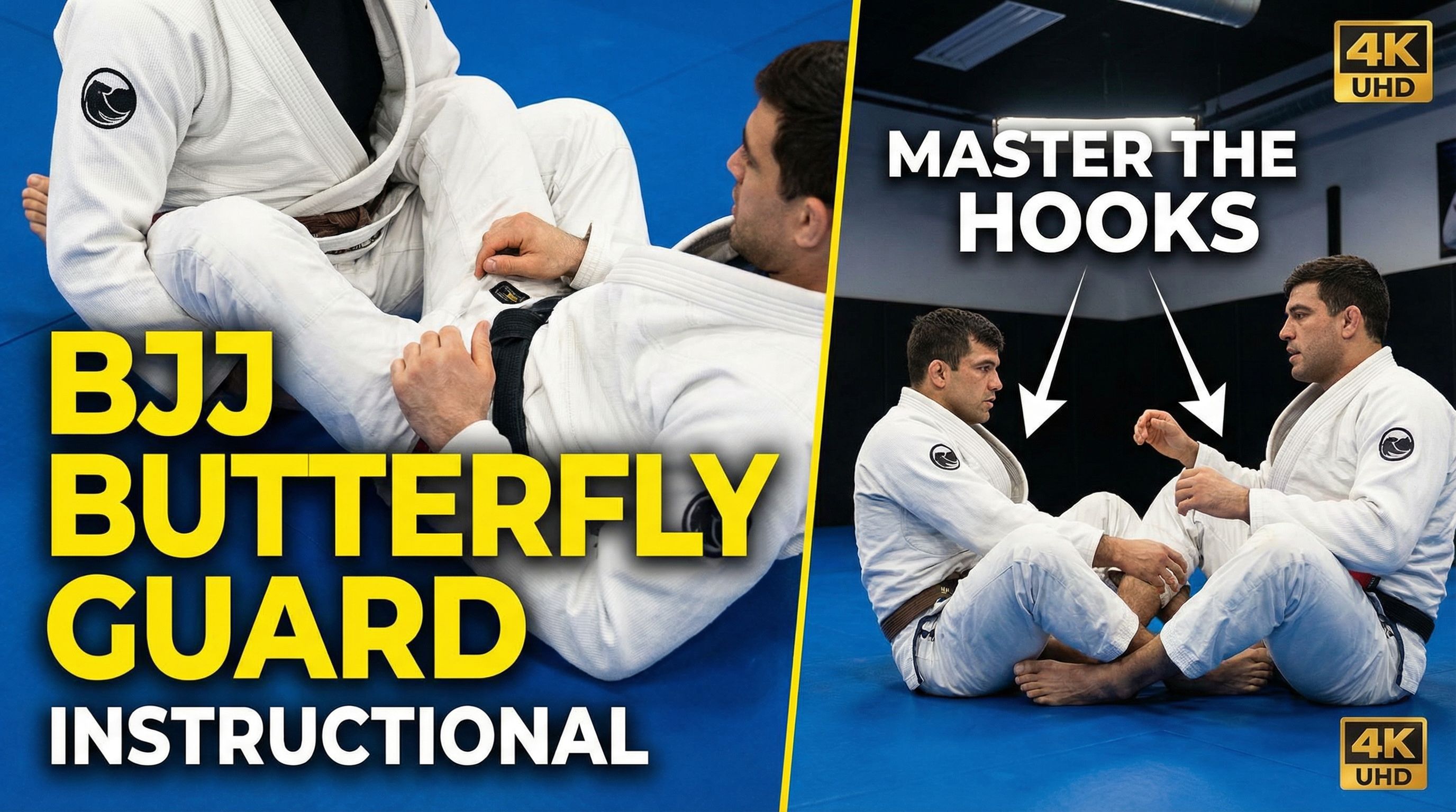 Butterfly Guard - Princípios